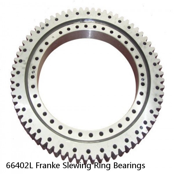 66402L Franke Slewing Ring Bearings