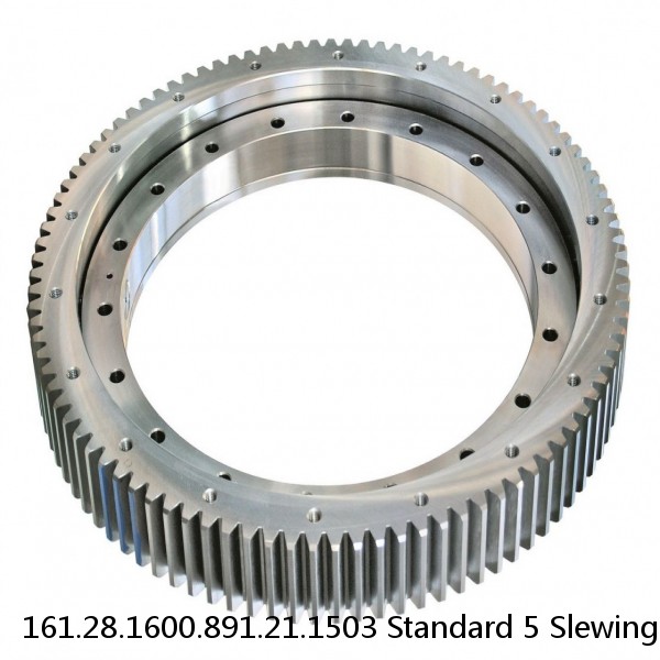 161.28.1600.891.21.1503 Standard 5 Slewing Ring Bearings