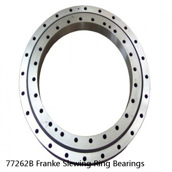 77262B Franke Slewing Ring Bearings