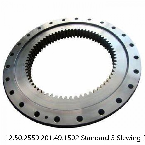 12.50.2559.201.49.1502 Standard 5 Slewing Ring Bearings