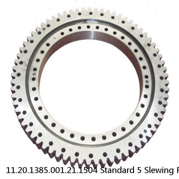 11.20.1385.001.21.1504 Standard 5 Slewing Ring Bearings