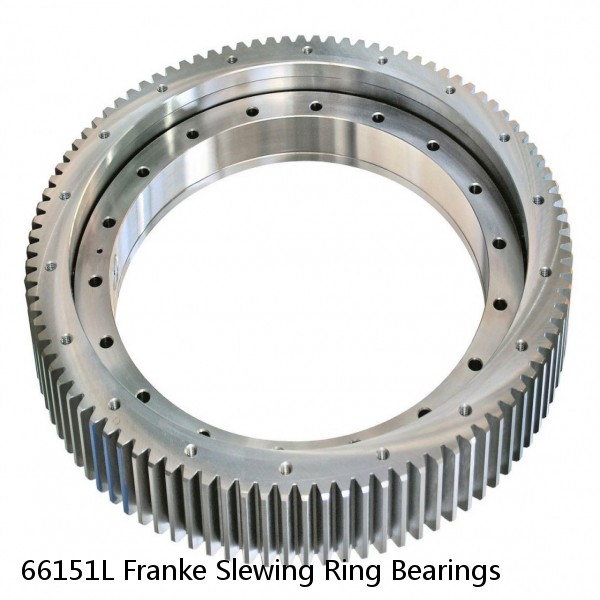 66151L Franke Slewing Ring Bearings