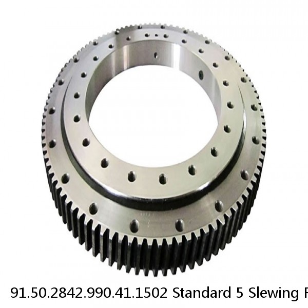 91.50.2842.990.41.1502 Standard 5 Slewing Ring Bearings