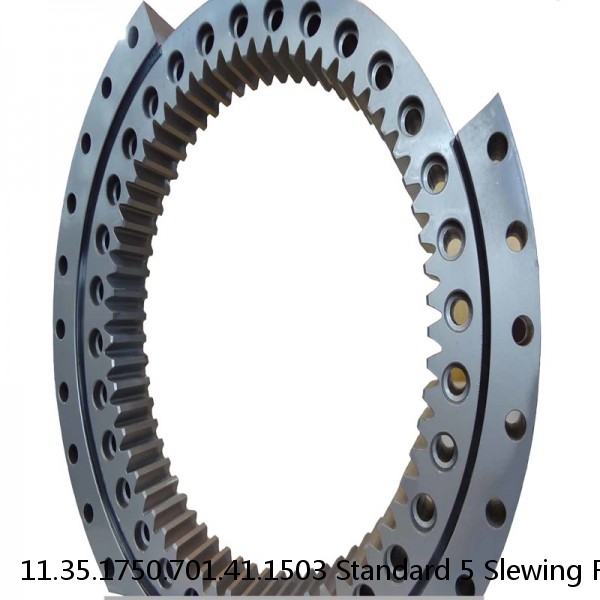 11.35.1750.701.41.1503 Standard 5 Slewing Ring Bearings