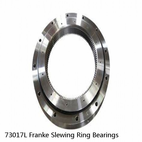 73017L Franke Slewing Ring Bearings