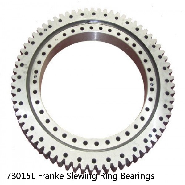 73015L Franke Slewing Ring Bearings