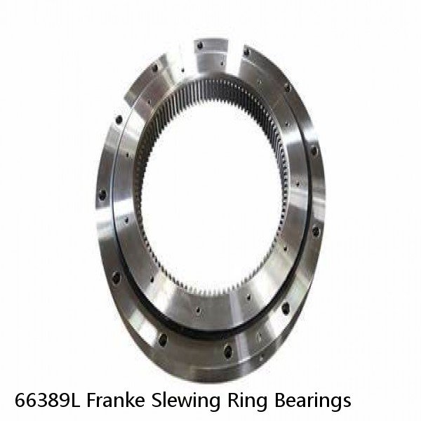 66389L Franke Slewing Ring Bearings