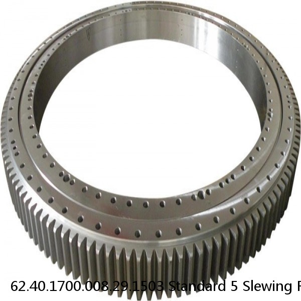 62.40.1700.008.29.1503 Standard 5 Slewing Ring Bearings