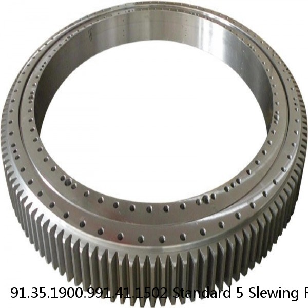 91.35.1900.991.41.1502 Standard 5 Slewing Ring Bearings