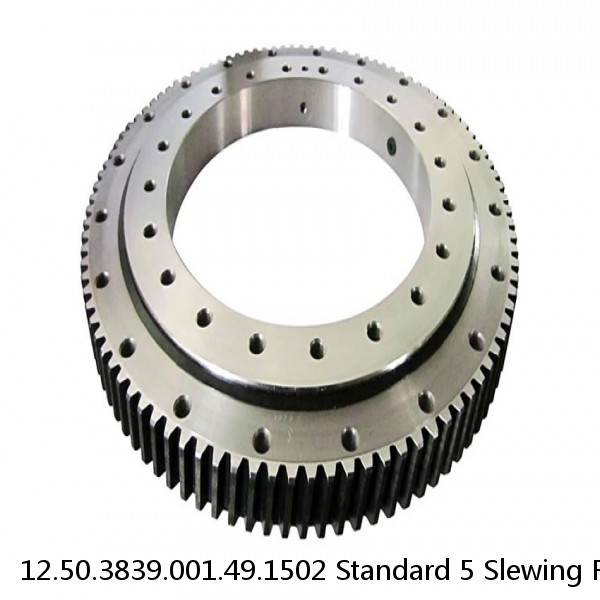 12.50.3839.001.49.1502 Standard 5 Slewing Ring Bearings