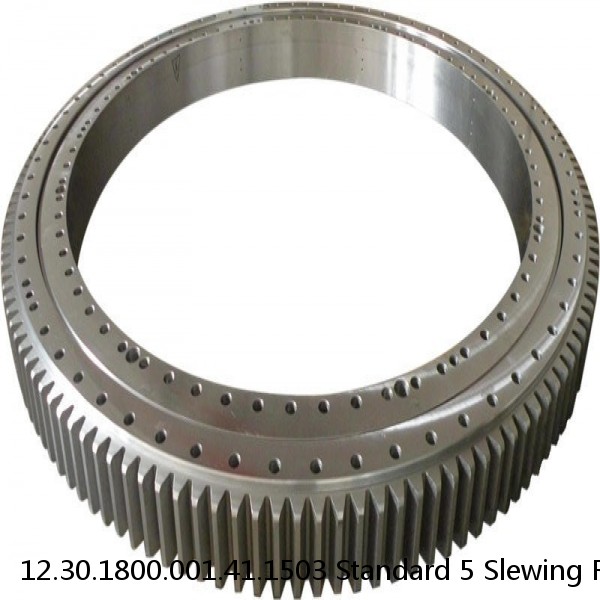 12.30.1800.001.41.1503 Standard 5 Slewing Ring Bearings