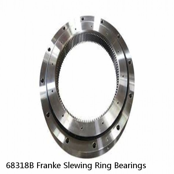 68318B Franke Slewing Ring Bearings