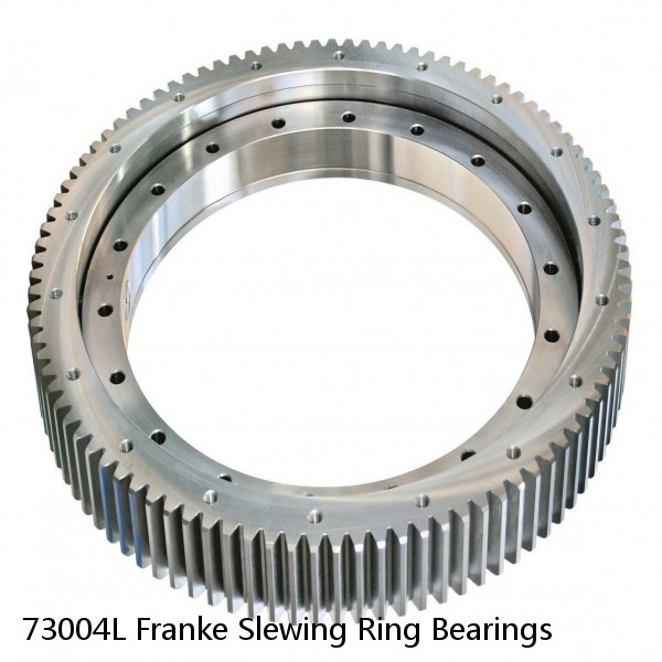 73004L Franke Slewing Ring Bearings